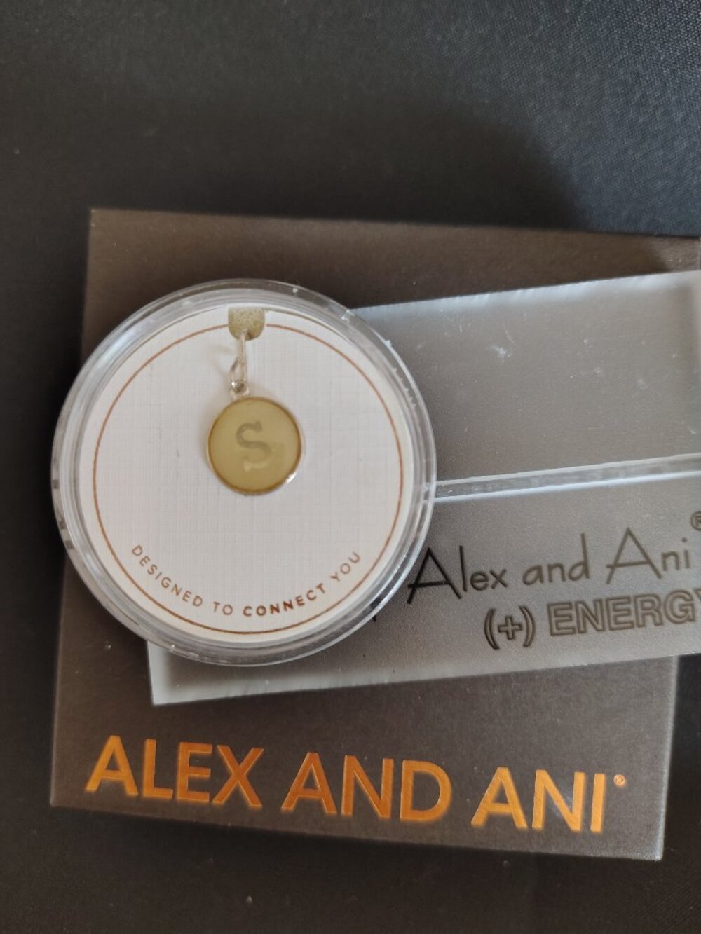 Alex and Ani Sterling Silver Initial S Charm 908